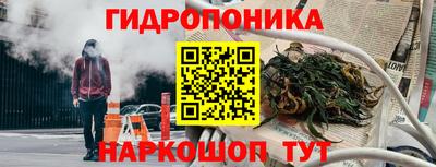 гидра Кинель
