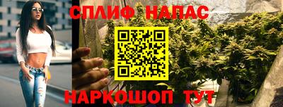 гашиш Кингисепп