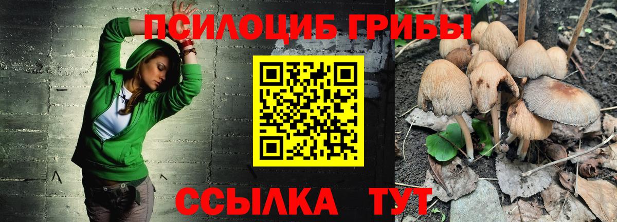 Псилоцибиновые грибы Magic Shrooms  Галлюциногенные грибы мицелий  Вход с VPN  Конаково 