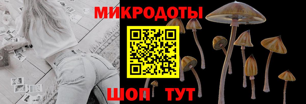 ГАШИШ Конаково